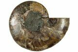 Cut & Polished Ammonite Fossil (Half) - Madagascar #310671-1